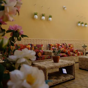 فيلة جوراق, الرياض